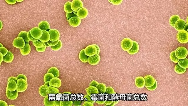 超聲耦合劑殘留物分析測試機構(gòu)